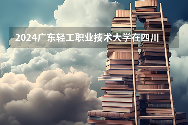 2024广东轻工职业技术大学在四川招生计划表