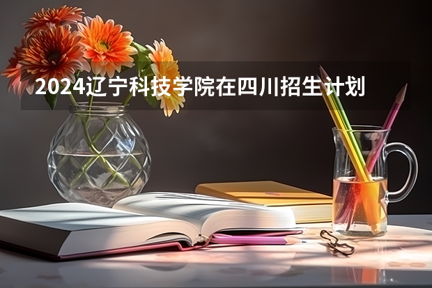 2024辽宁科技学院在四川招生计划表
