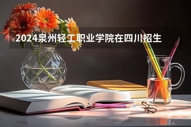 2024泉州轻工职业学院在四川招生计划表