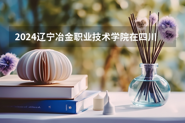 2024辽宁冶金职业技术学院在四川招生计划表