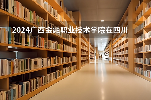 2024广西金融职业技术学院在四川招生计划表