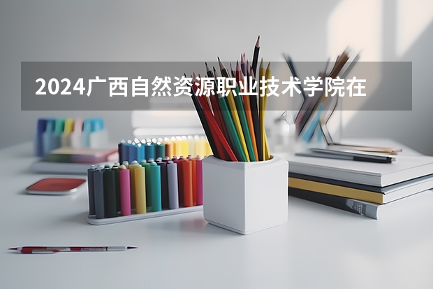 2024广西自然资源职业技术学院在四川招生计划表