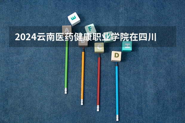 2024云南医药健康职业学院在四川招生计划表