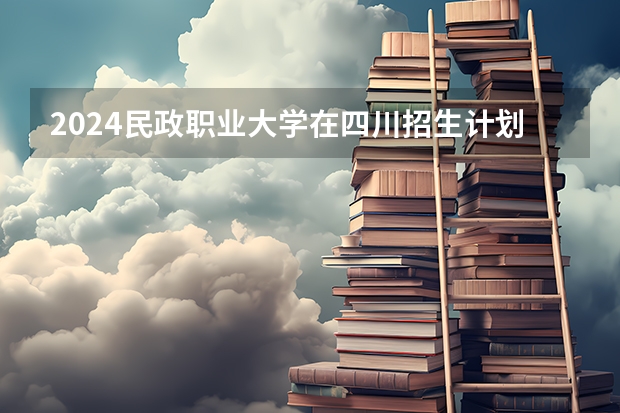 2024民政职业大学在四川招生计划表