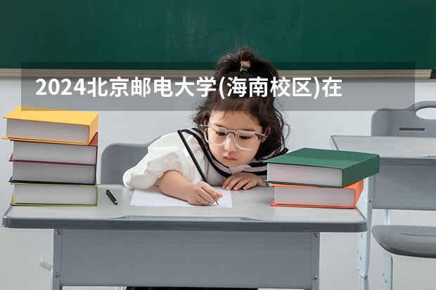 2024北京邮电大学(海南校区)在四川招生计划表
