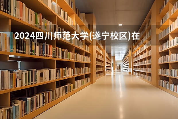 2024四川师范大学(遂宁校区)在四川招生计划表