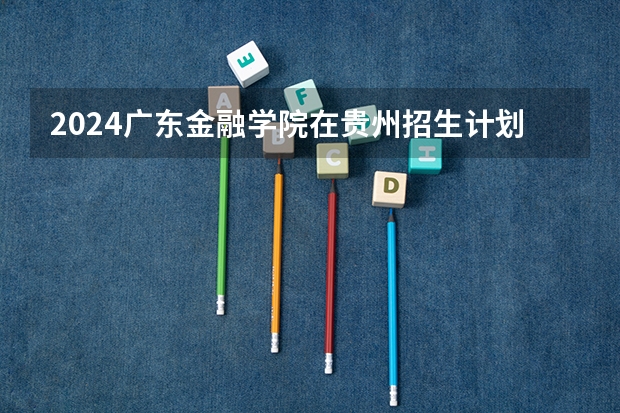 2024广东金融学院在贵州招生计划表