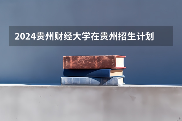 2024贵州财经大学在贵州招生计划表