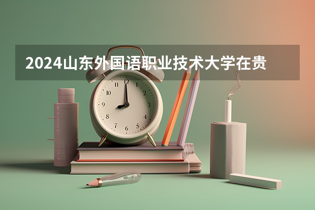 2024山东外国语职业技术大学在贵州招生计划表