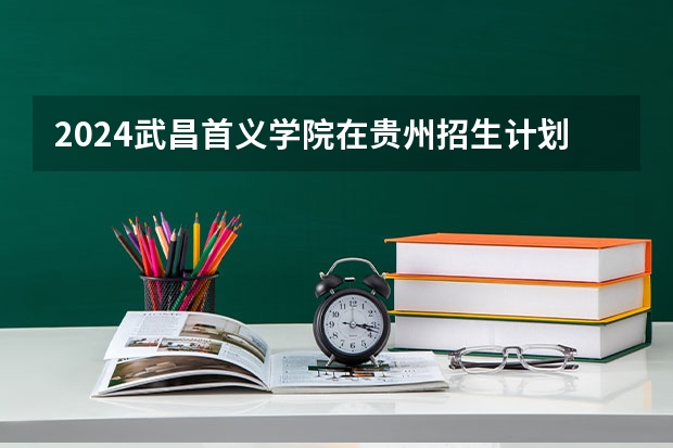 2024武昌首义学院在贵州招生计划表