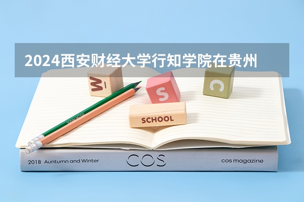 2024西安财经大学行知学院在贵州招生计划表