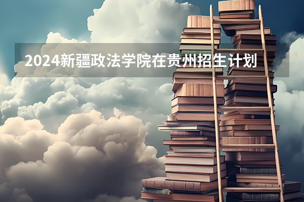 2024新疆政法学院在贵州招生计划表