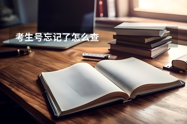 考生号忘记了怎么查
