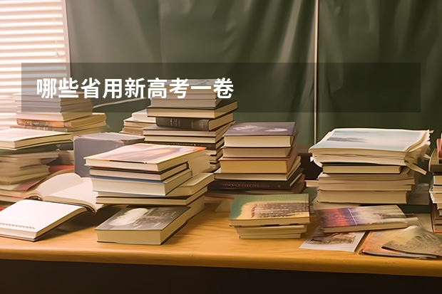 哪些省用新高考一卷