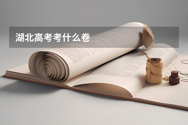 湖北高考考什么卷