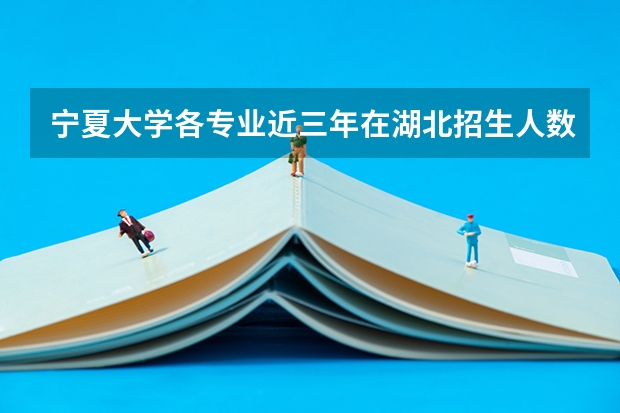 宁夏大学各专业近三年在湖北招生人数一览表