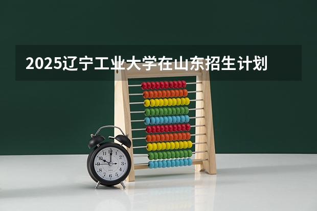 2025辽宁工业大学在山东招生计划表