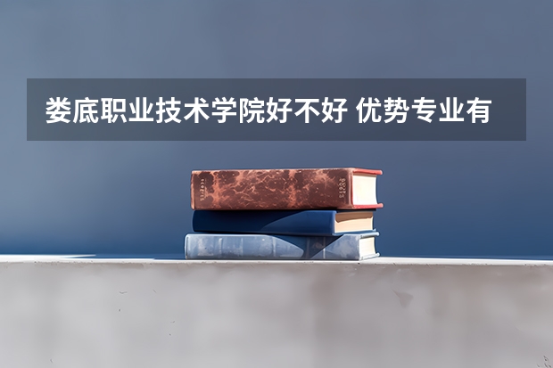 娄底职业技术学院好不好 优势专业有哪些