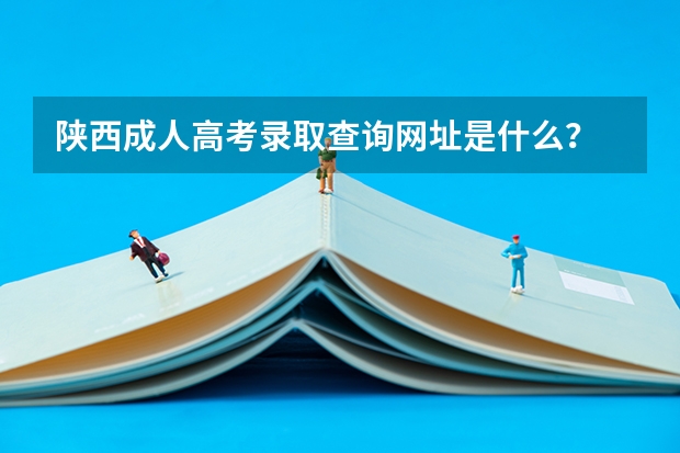 陕西成人高考录取查询网址是什么？